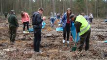 Dnia 25.04.2017r miała miejsce w Nadleśnictwie Dobieszyn jeszcze jedna akcja „sadzimy 1000 drzew na minutę”.