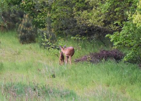 Nie zawsze potrzebują pomocy!