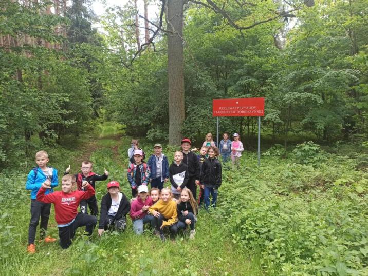 Zajęcia&#x20;z&#x20;edukacji&#x20;przyrodniczo-leśnej