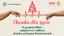 Choinka dla życia: podaruj krew, odbierz świąteczne drzewko