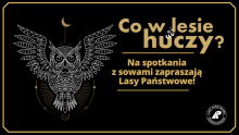 Usłysz, co w lesie huczy